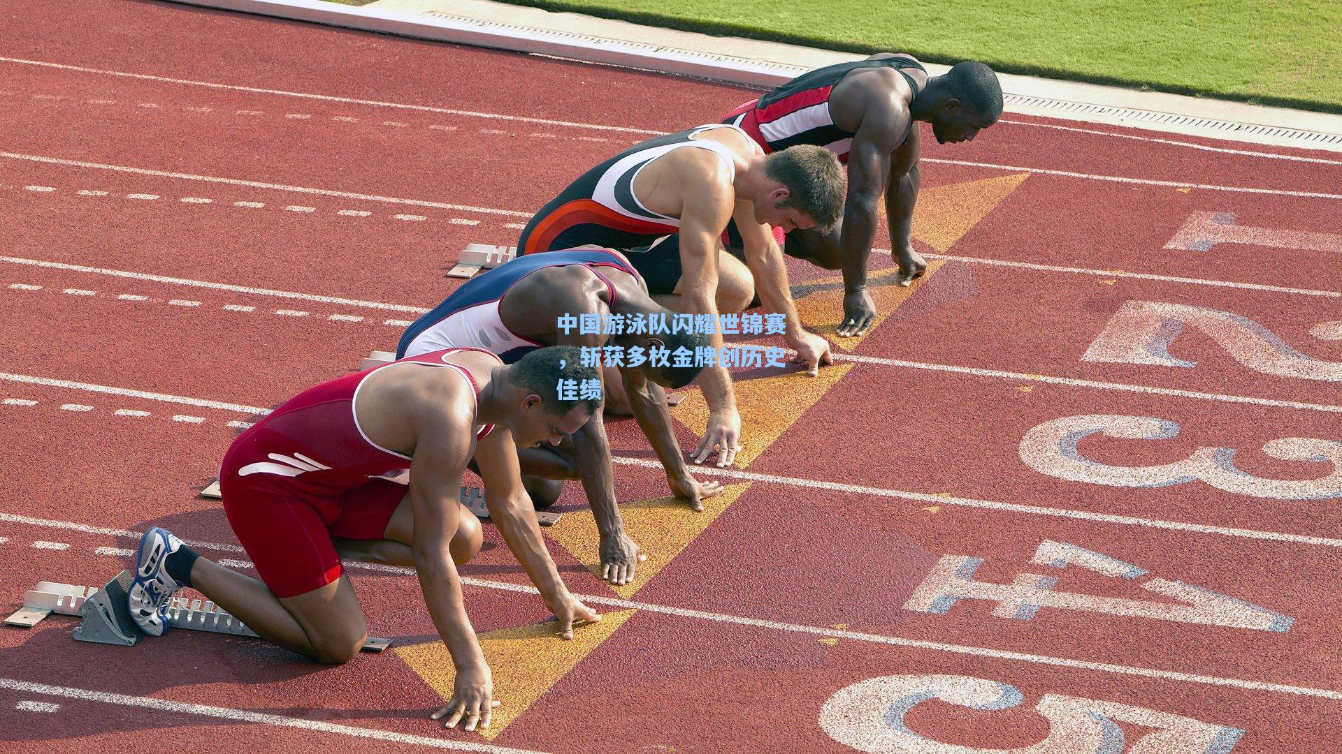 问鼎娱乐下载|中国游泳队闪耀世锦赛，斩获多枚金牌创历史佳绩