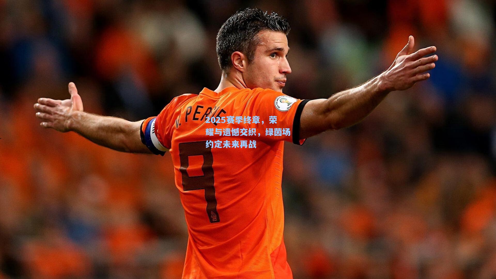 2025赛季终章,荣耀与遗憾交织,绿茵场约定未来再战
